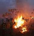 Brigadistas tentam conter fogo na área englobada pelo município de Mucugê  Foto: Rafael Duarte / CI Brasil