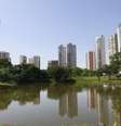 Os participantes serão desafiados a propor soluções em três eixos a partir de dados abertos do Estado  Foto: casadaphoto / Shutterstock