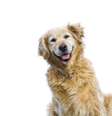  Foto: iStock