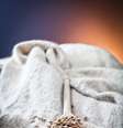  Foto: iStock