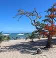 As praias de Coroa Vermelha também são opções para quem visita a cidade  Foto: Danielle Barg / Terra