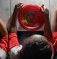 Pela lei, merenda escolar deve ter 30% de alimentos produzidos por agricultores familiares   Foto: Agência Brasil