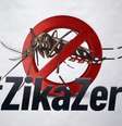 Campanha vai mobilizar famílias no combate ao mosquito transmissor do Zika, que também é vetor da dengue e da chikungunya  Foto: Agência Brasil