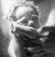  Foto: Apple Blossom Families / BBC News Brasil