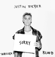 Lançado em outubro de 2015, o hit Sorry foi o responsável por desbancar Adele do primeiro lugar da Billboard, onde havia permanecido reinando absoluto por dois meses  Foto: Instagram/@justinbieber / Reprodução