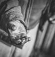     Foto: iStock