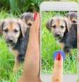Segundo o Facebook, transmissões ao vivo recebem mais comentários do que vídeos normais  Foto: iStock / BBC News Brasil