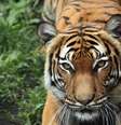  Foto: iStock