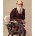 Assim como em seus estudos científicos, Darwin fazia um registro minucioso de sua saúde  Foto: Divulgação/BBC Brasil / BBC News Brasil