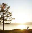  Foto: mediaphotos / iStock 