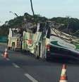 Acidente com ônibus na Mogi-Bertioga deixou 18 mortos  Foto: Agência Brasil