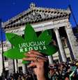 País aprovou em 2013 lei liberando consumo de cannabis; última etapa é venda em farmácias  Foto: Getty Images