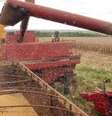 A agricultura foi um dos dois setores com vagas abertas  no período  Foto: Agência Brasil