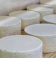 Mergulhadores acreditam que o queijo tenha cerca de 340 anos  Foto: iStock