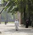 Papa Francisco visita o antigo campo de concentração de Auschwitz, na Polônia  Foto: EFE