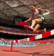  Foto: Getty Images 