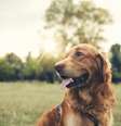  Foto: iStock