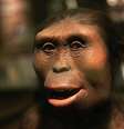 Reprodução do famoso fóssil Lucy que está exposta em Museu da História Natural de Chicago, nos EUA  Foto: Getty Images 
