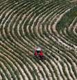 Queda da produção agrícola, de 2% no segundo tri, colaborou para retração de 0,6% do PIB  Foto: Getty Images