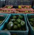 Alimentos subiram 0,78%     Foto: Agência Brasil