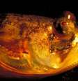Peixe do gênero Porichthys, com fotóforos luminescentes - órgãos que emitem luz  Foto: Andrew Bass