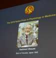 Yoshinori Ohsumi foi laureado com o Prêmio Nobel de Medicina de 2016   Foto: EFE