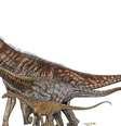 O Austroposeidon magnificus é o maior da ilustração, que compara o tamanho dele com o de outros dinossauros e um humano  Foto: Museu de Ciências da Terra/Divulgação