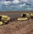 A predominância dos produtos continua sendo de arroz, milho e soja  Foto: Agência Brasil