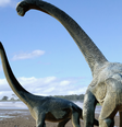 Savannasaurus: um novo espécime de dinossauro  Foto: TRAVIS TISCHLER/MUSEU ERA DOS DINOSSAUROS / BBC News Brasil