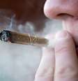 Diferente do que muitos achavam, a maconha não acusou grandes problemas para a saúde dos participantes, exceto em um campo: na saúde bucal  Foto: Pe3k / Shutterstock