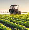  Agricultura foi o setor que teve maior retração no trimestre  Foto: iStock