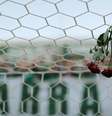  Foto: Getty Images 