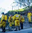 Fogo na mata foi combatido por vários homens da brigada de incêndio e do Corpo de Bombeiros  Foto: liy/Futura Press