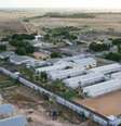 Penitenciária Agrícola de Monte Cristo  Foto: Reprodução