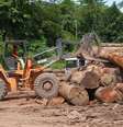 Desmatamento de 2016 na Amazônia é o maior desde 2008, segundo levantamento do Ipam  Foto: Agência Brasil