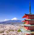 Esses lugares no Japão vão te deixar com vontade de viajar para lá agora!  Foto: Shutterstock / Guia da Semana