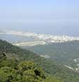 A Mata Atlântica está distribuída por 17 estados: Rio Grande do Sul, Santa Catarina, Paraná, São Paulo, Goiás, Mato Grosso do Sul, Rio de Janeiro (foto), Minas Gerais, Espírito Santo, Bahia, Alagoas, Sergipe, Paraíba, Pernambuco, Rio Grande do Norte, Ceará e Piauí  Foto: Agência Brasil
