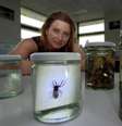 A cientista Ronelle Welton afirma que sua pesquisa põe em xeque estereótipos sobre a fauna da Austrália, considerada o 'epicentro de tudo o que é venenoso'  Foto: Paul Burston