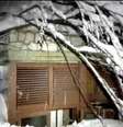 Eles enfrentaram uma nevasca e estradas fechadas por neve e árvores caídas.  Foto: EFE
