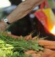 Consumidor está gastando menos para comprar verduras e legumes em São Paulo  Foto: Agência Brasil
