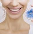 Diferentes necessidades odontológicas exigem diferentes tratamentos. Esse conceito vale também para o uso de aparelhos.   Foto: Kalcutta / Shutterstock