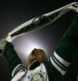 Torcedor da Mancha Alvi Verde em jogo do Palmeiras  Foto: Getty Images