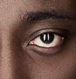 Para a OAB, a implementação das cotas nas seleções para o serviço público é um instrumento necessário para combater a discriminação racial.  Foto: iStock / BBCBrasil.com