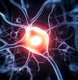  Foto: Eraxion  / iStock