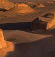 Mesmo com as temperaturas extremas, há registros de vida animal no deserto  Foto: Getty Images / BBC News Brasil