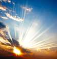  Foto: ArtyFree  / iStock