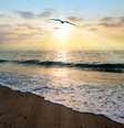  Foto: Mexitographer  / iStock