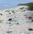 A ilha fica a cerca de 5.5 mil km da costa do Chile  Foto: Jennifer Lavers/Universidade da Tasmânia / BBC News Brasil