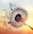  Foto: BrianAJackson  / iStock