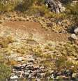 O sinal, feito com pedras, foi avistado por um piloto de helicóptero   Foto: WA Police